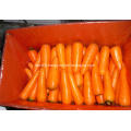Fresh carrot vegetables for sale